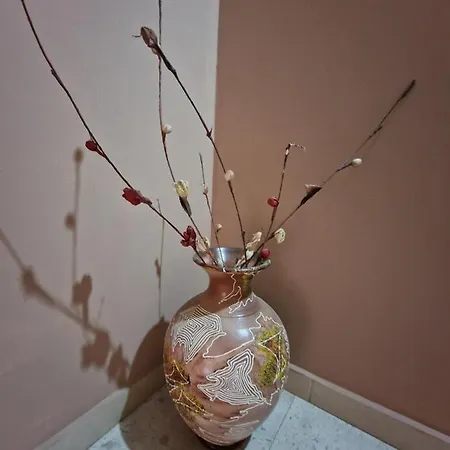 Ben 班斯科
